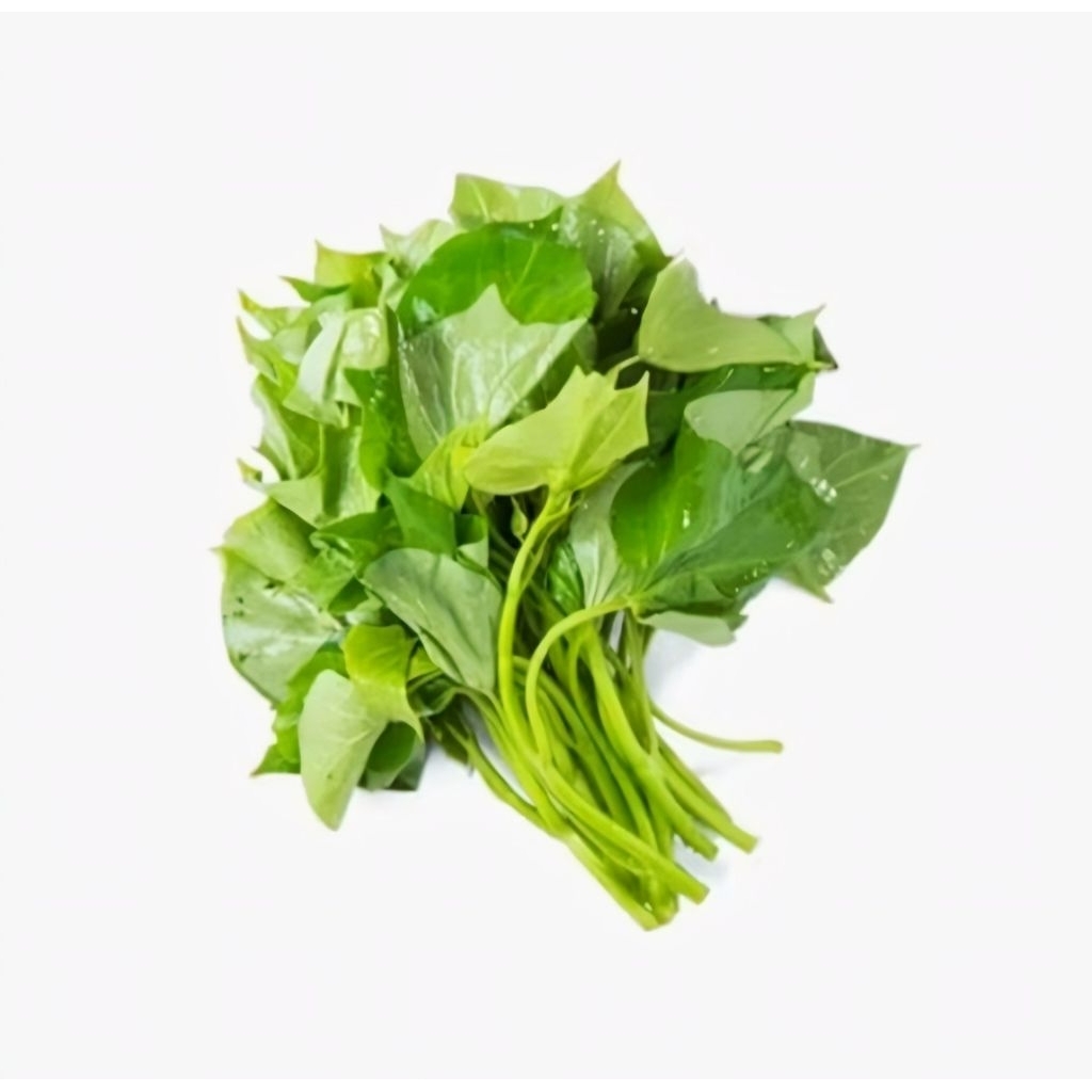 BIBIT SAYUR DAUN UBI UMBI JALAR FRESH 1KG