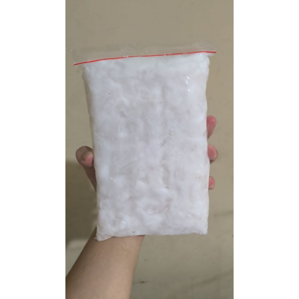 

Daging Kelapa Muda Frozen 1kg