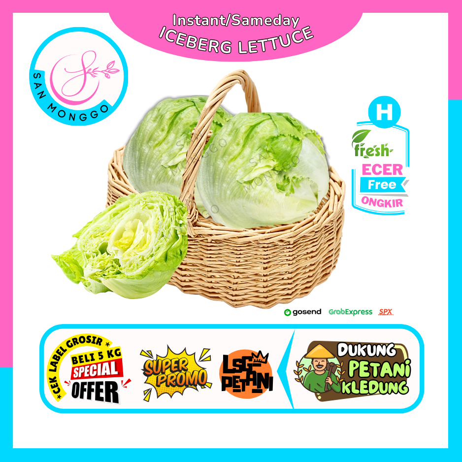 

Sanmonggo >> Iceberg Lettuce -- Hasil Bumi Sindoro Sumbing Ecer (H)