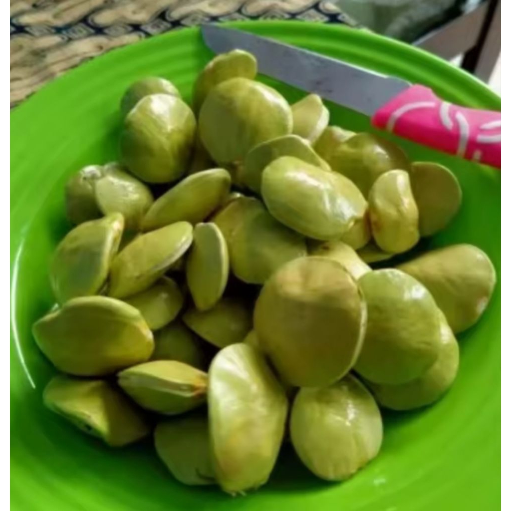 

jengkol muda sudah di kupas/1kg