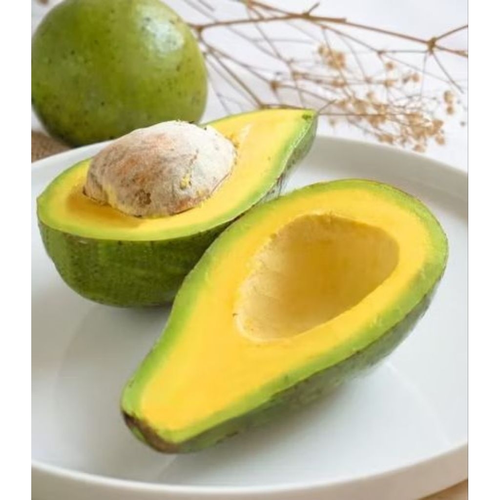 

TERMURAH,,,!!!!ALPUKAT MENTEGA SUPER 1KG ISI 4 SAMPAI 5 BUAH,,,!!!PACKING AMAN