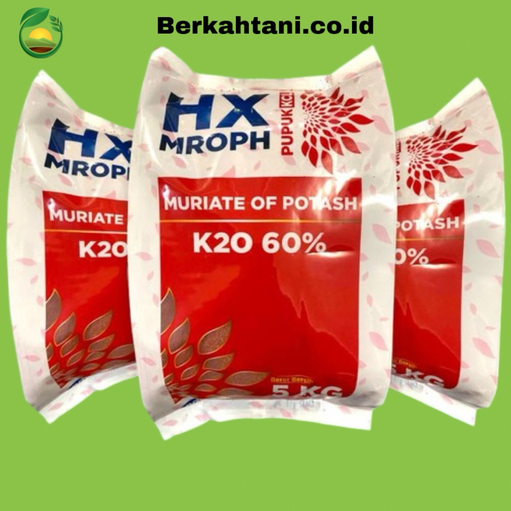 Pupuk MOP KCL HX MROPH KEMASAN 5KG