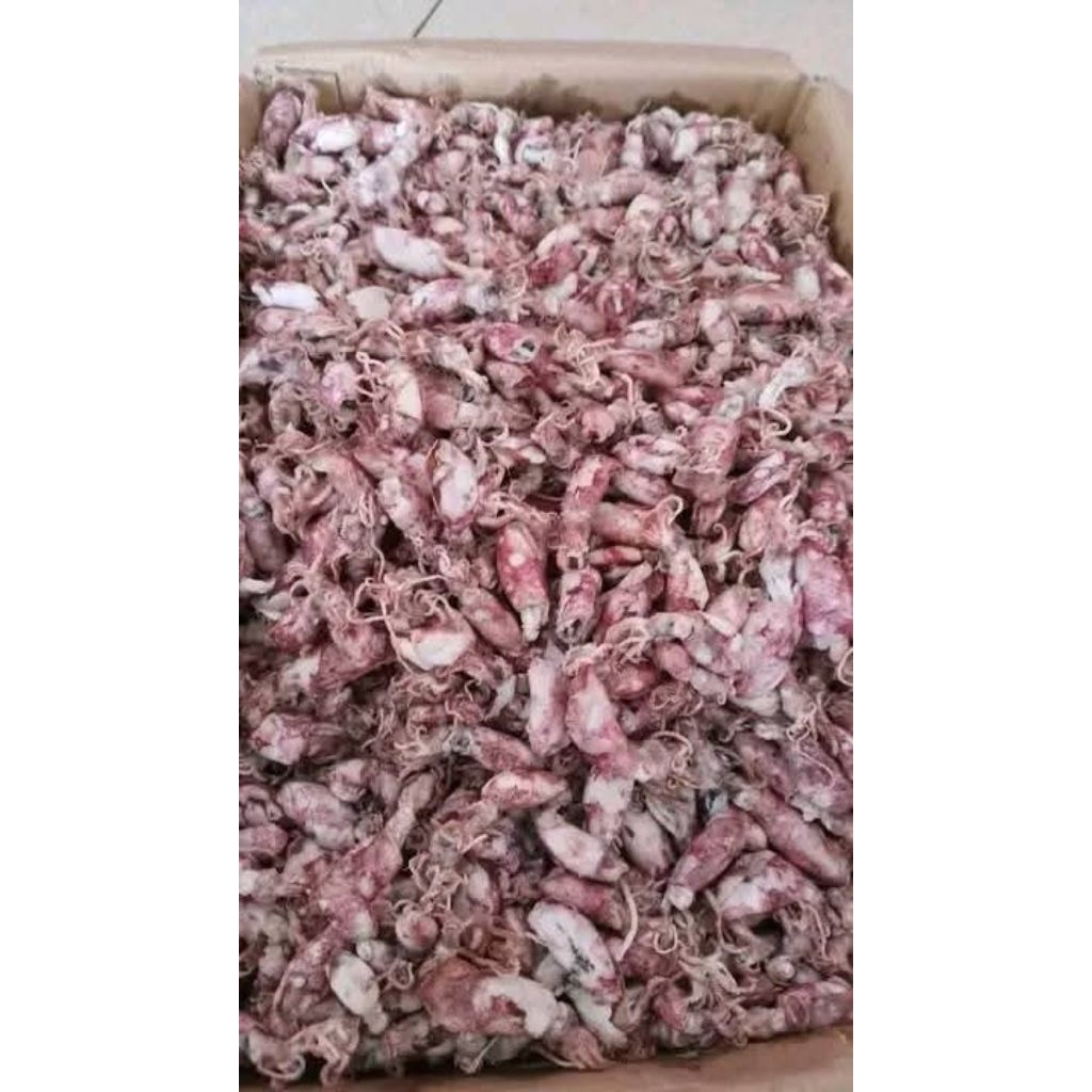 

Cumi khas Medan fresh 250gram