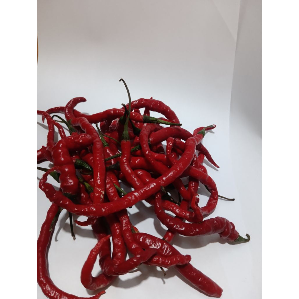 

Cabai Merah