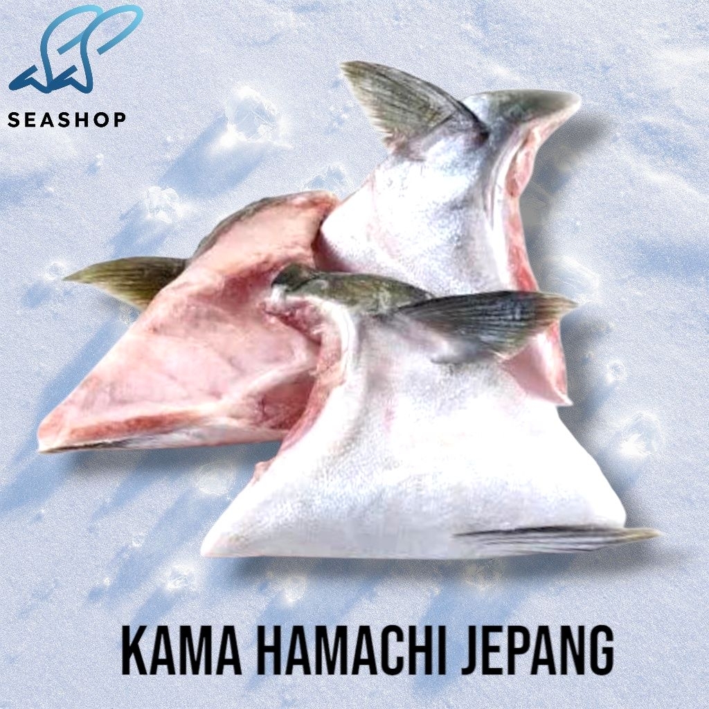 

Hamachi Kama / Yellowtail Collar / Japanese Amberjack