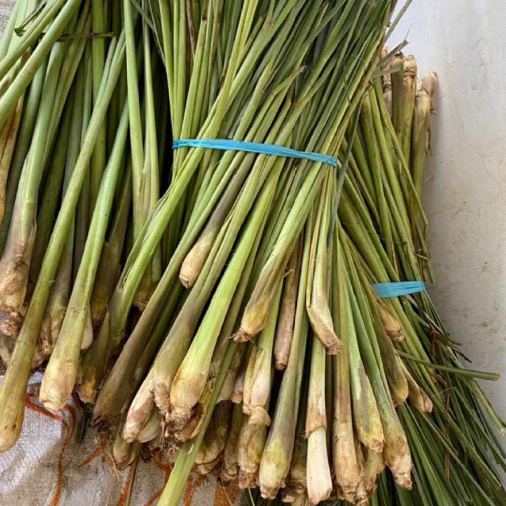 

sere,sereh segar satu iket 500gr