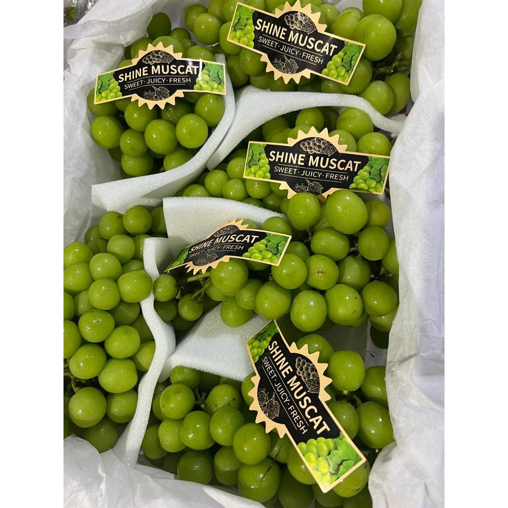 

Shine Muscat manis tanpa biji