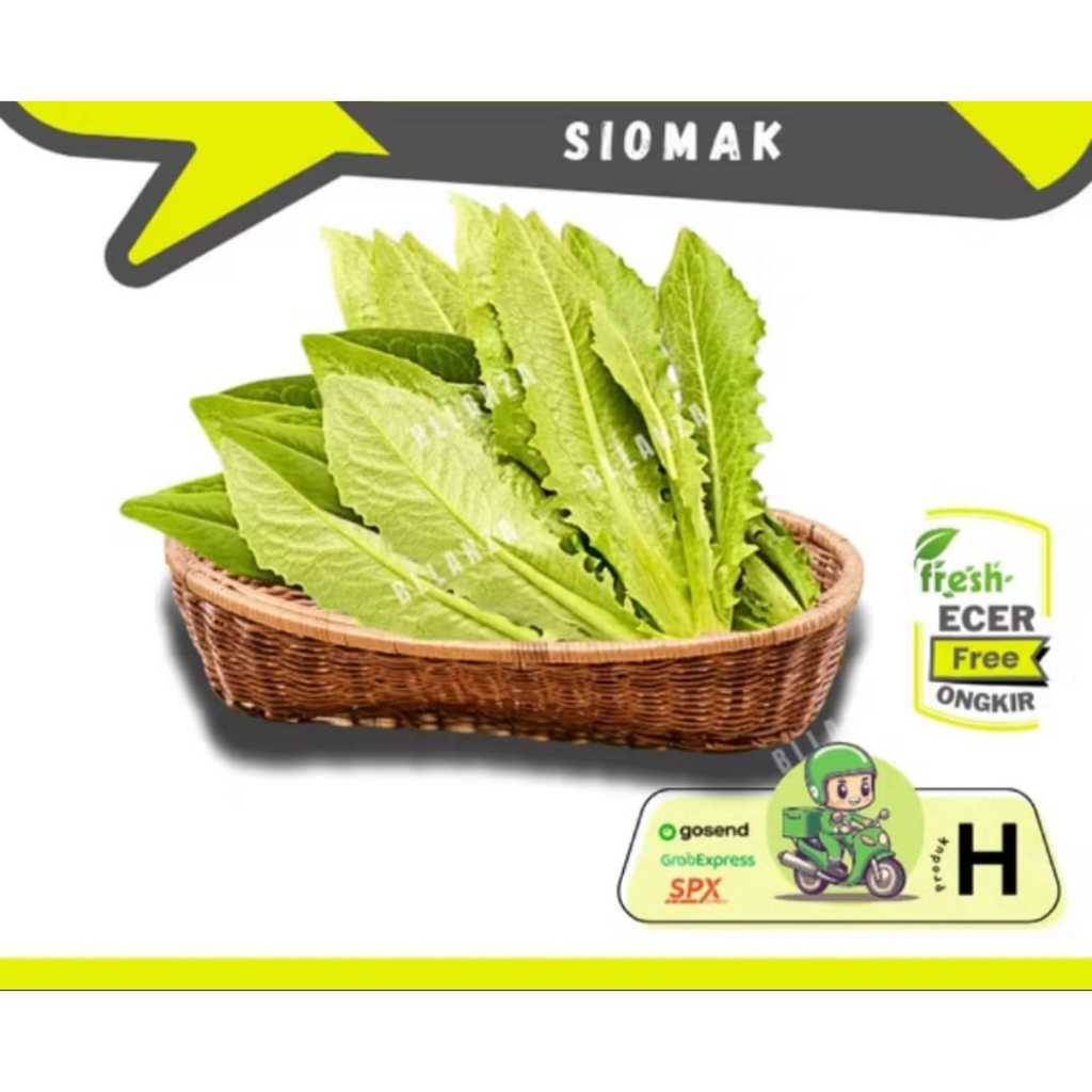 

Sanmonggoo >> Siomak / Selada Wangi -- Hasil Bumi Sindoro Sumbing Ecer (H)