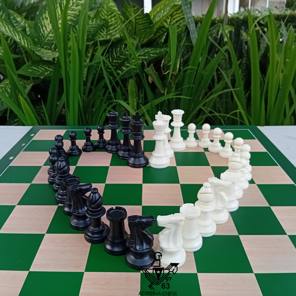 Buah Catur Plastik Standard FIDE Approved Impor Double Menteri