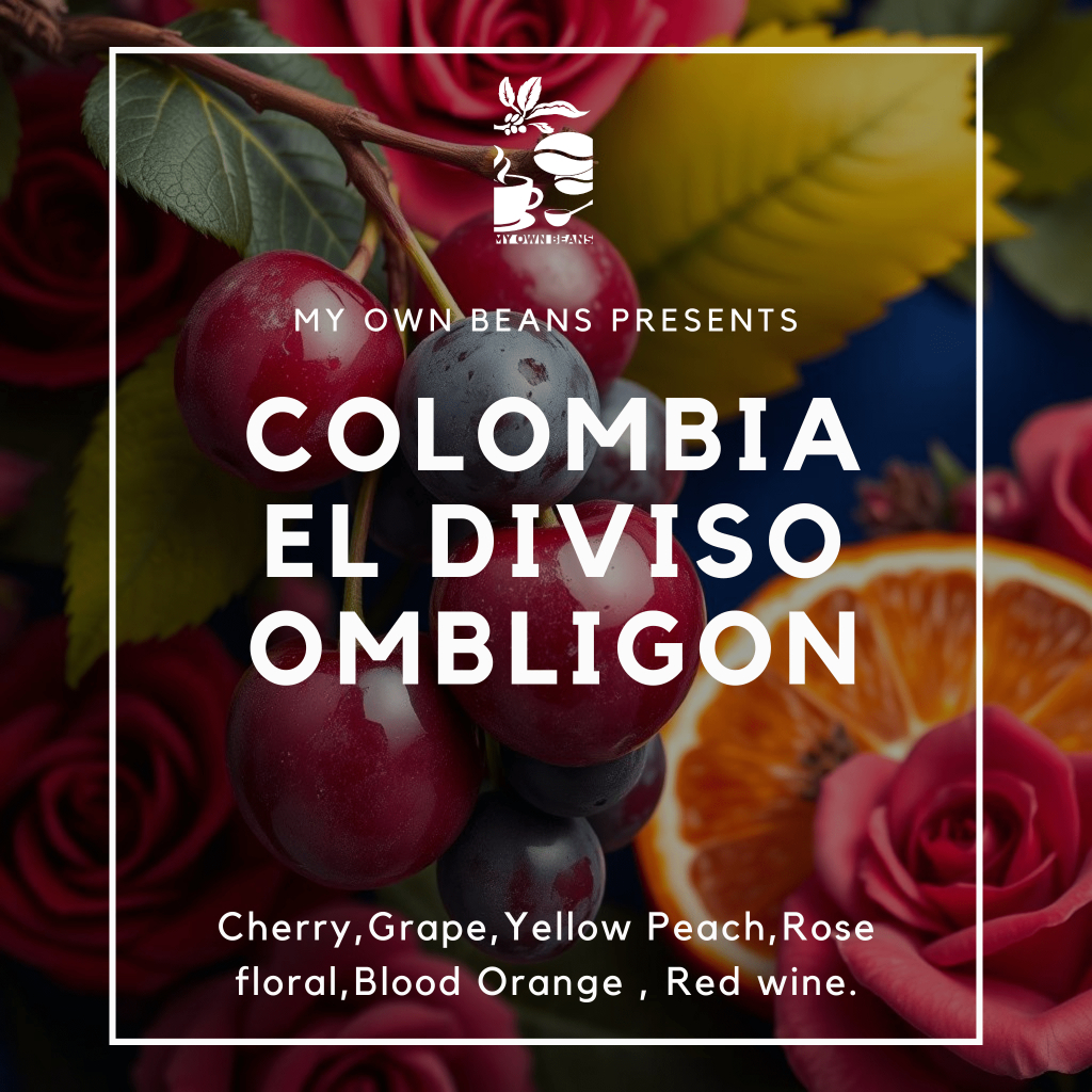 

COLOMBIA EL DIVISO OMBLIGON Speciality Coffee Beans BY MY OWN BEANS