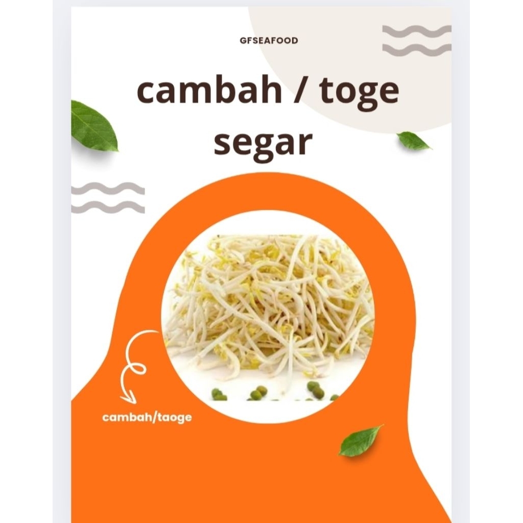 

Kecambah & Toge 500g