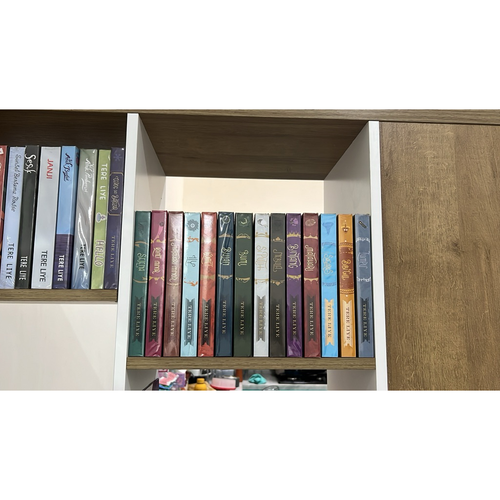 PRELOVED NOVEL BEKAS BUMI SERIES TERE LIYE