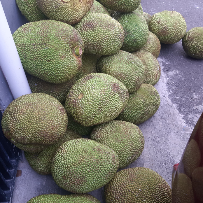 

nangka madu orange utuh gelondogan 5kg