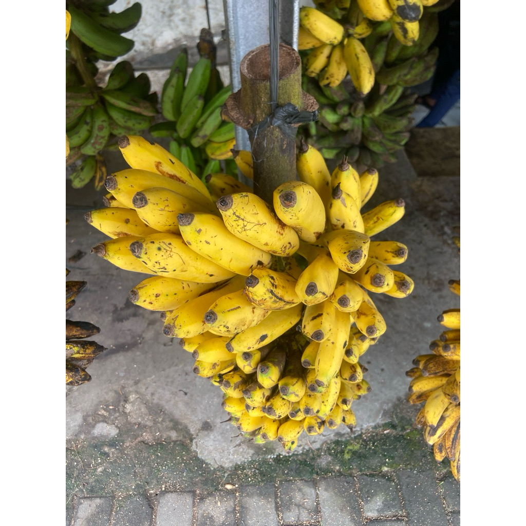

Pisang Ketan
