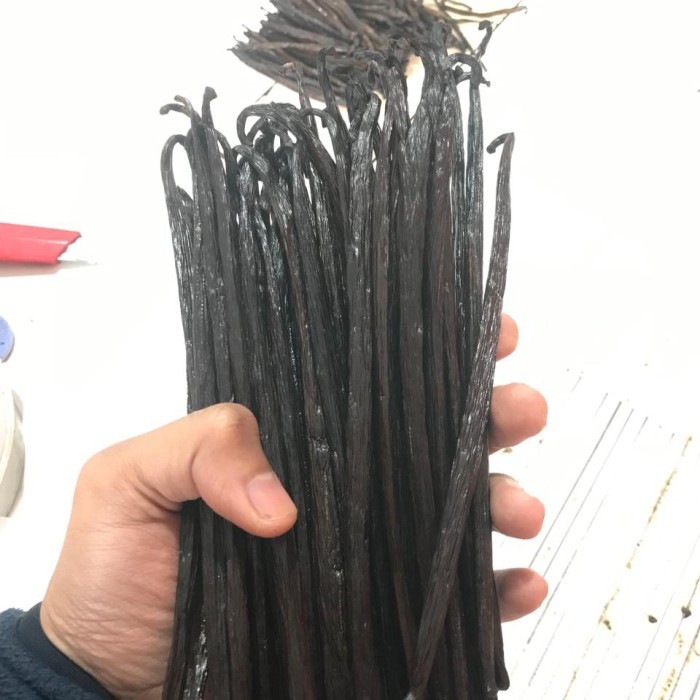 

Vanilla Planifolia Gourmet Grade A
