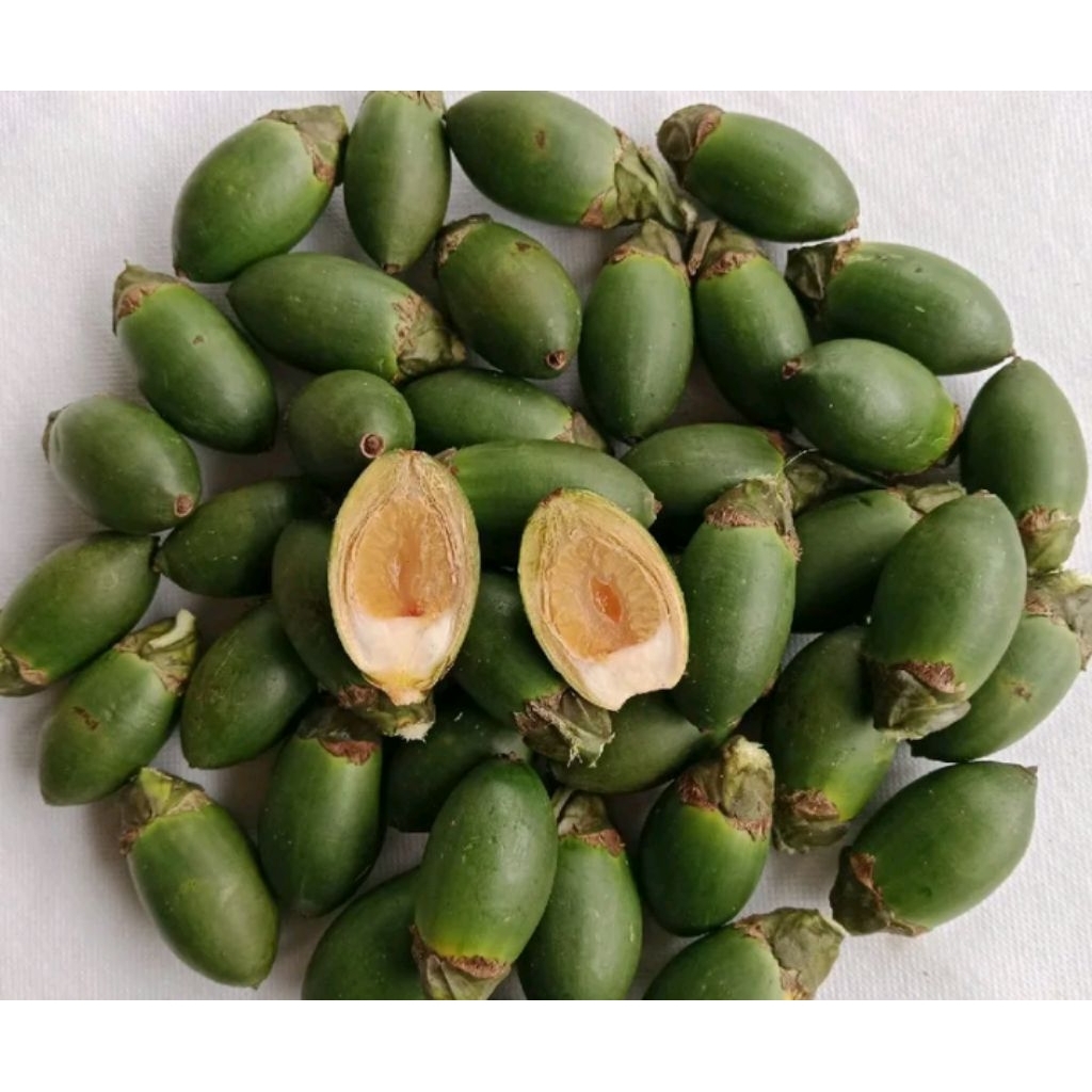 

Buah Pinang muda Muda / buah jambe 500 Gram