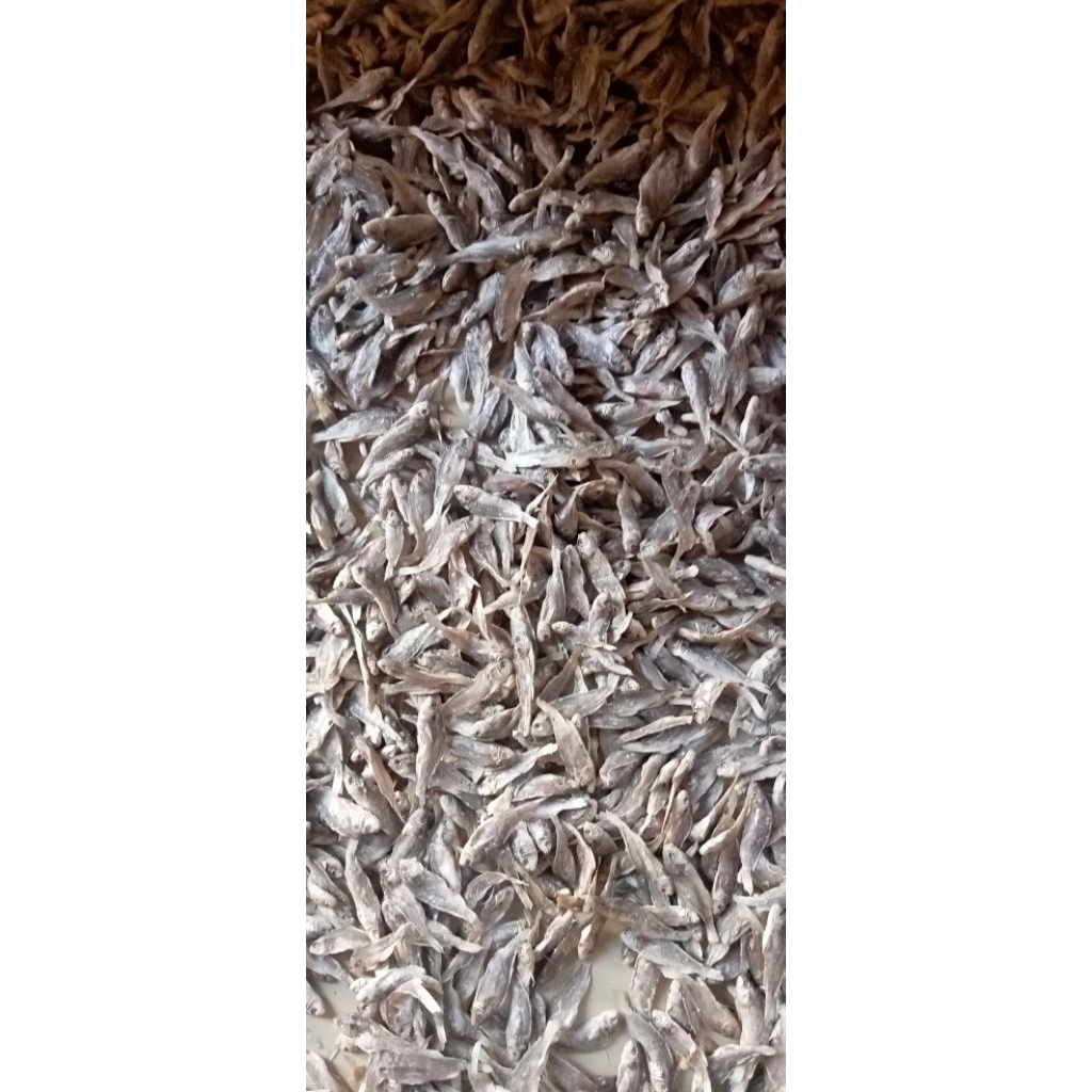 

Anak ikan (cu) 300 gram