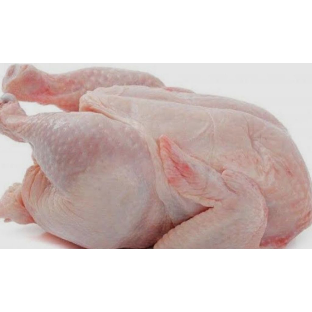 

ayam utuh segar frozen