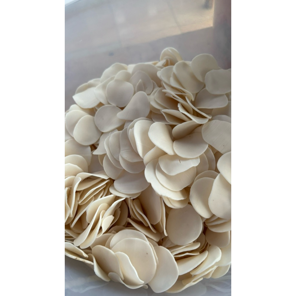 

Kerupuk Bawang Kerupuk Mentah Kerupuk Putih kerupuk Seblak kerupuk ketoprak