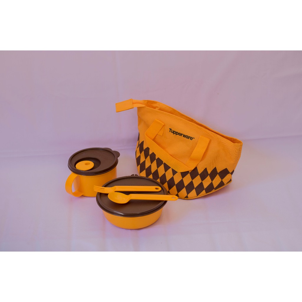 Tupperware Fit to Go Lunch Set