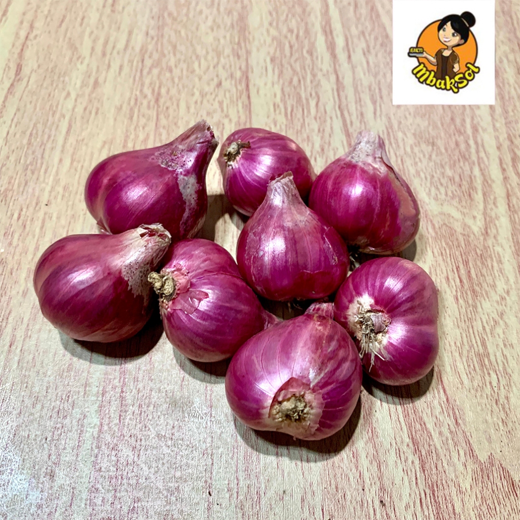 

Bawang Merah Probolinggo Jumbo Super / Brambang Probolinggo Asli Jumbo Super