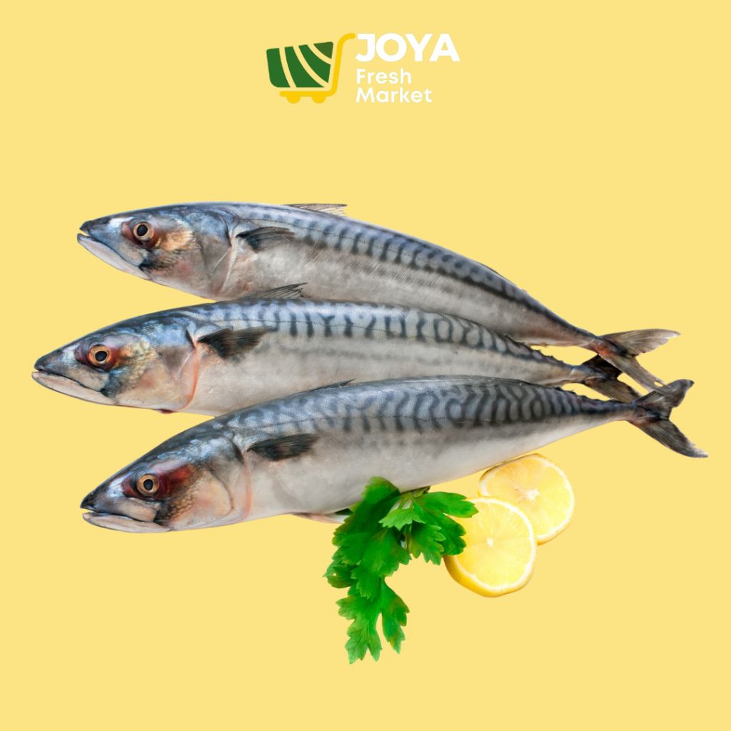 

Joya Fresh - Ikan Sarden Segar/Seafood Segar/Ikan Makarel Segar/Ikan Salem Segar