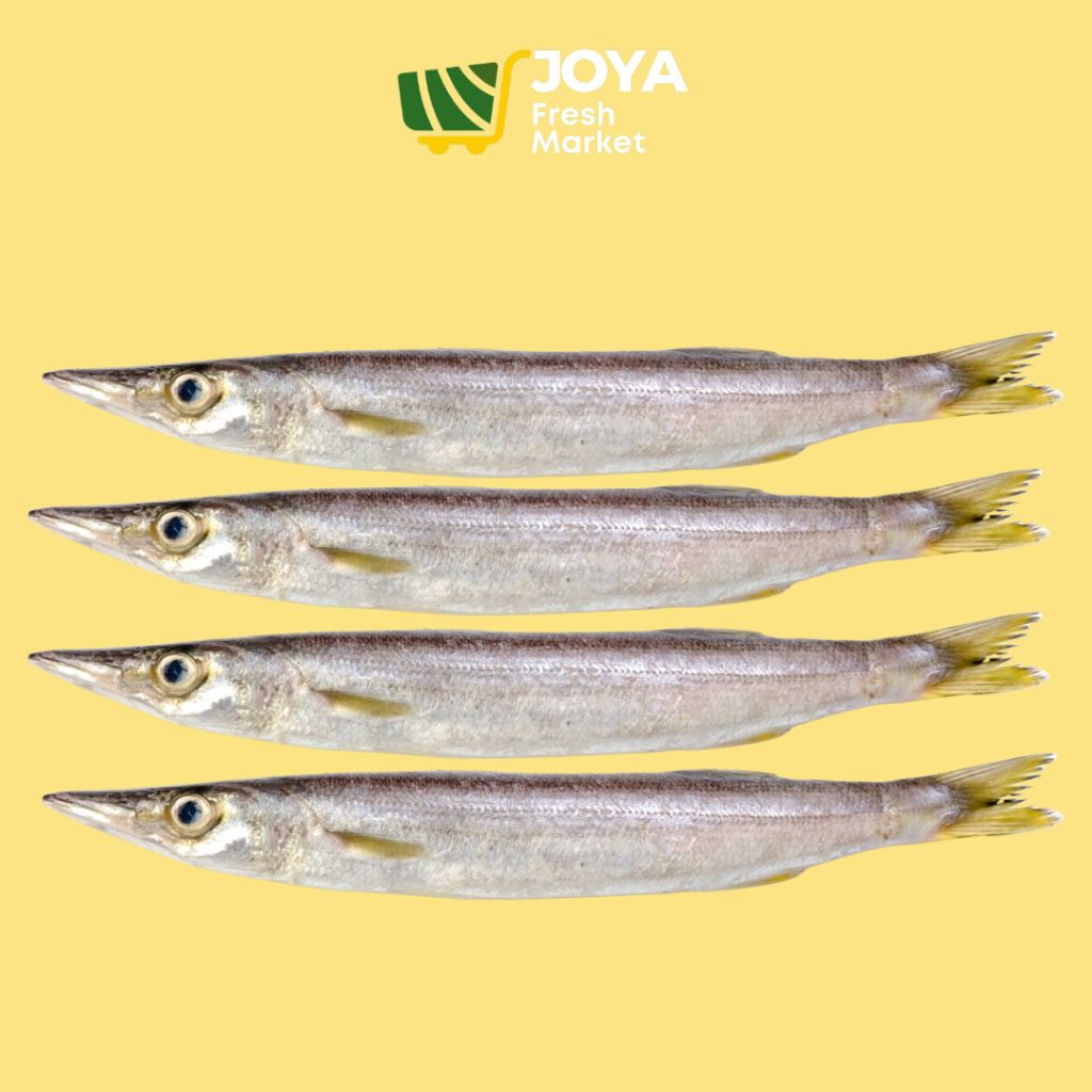 

Joya Fresh - Ikan Barakuda Segar/Seafood Segar/Ikan Cucut Segar