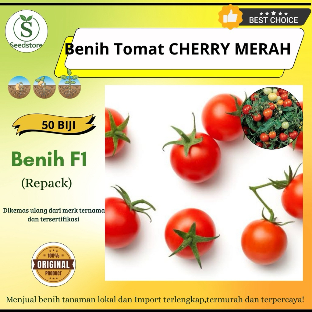 50 Benih Tomat Cherry Merah  Cherry Red Tomato (Import)