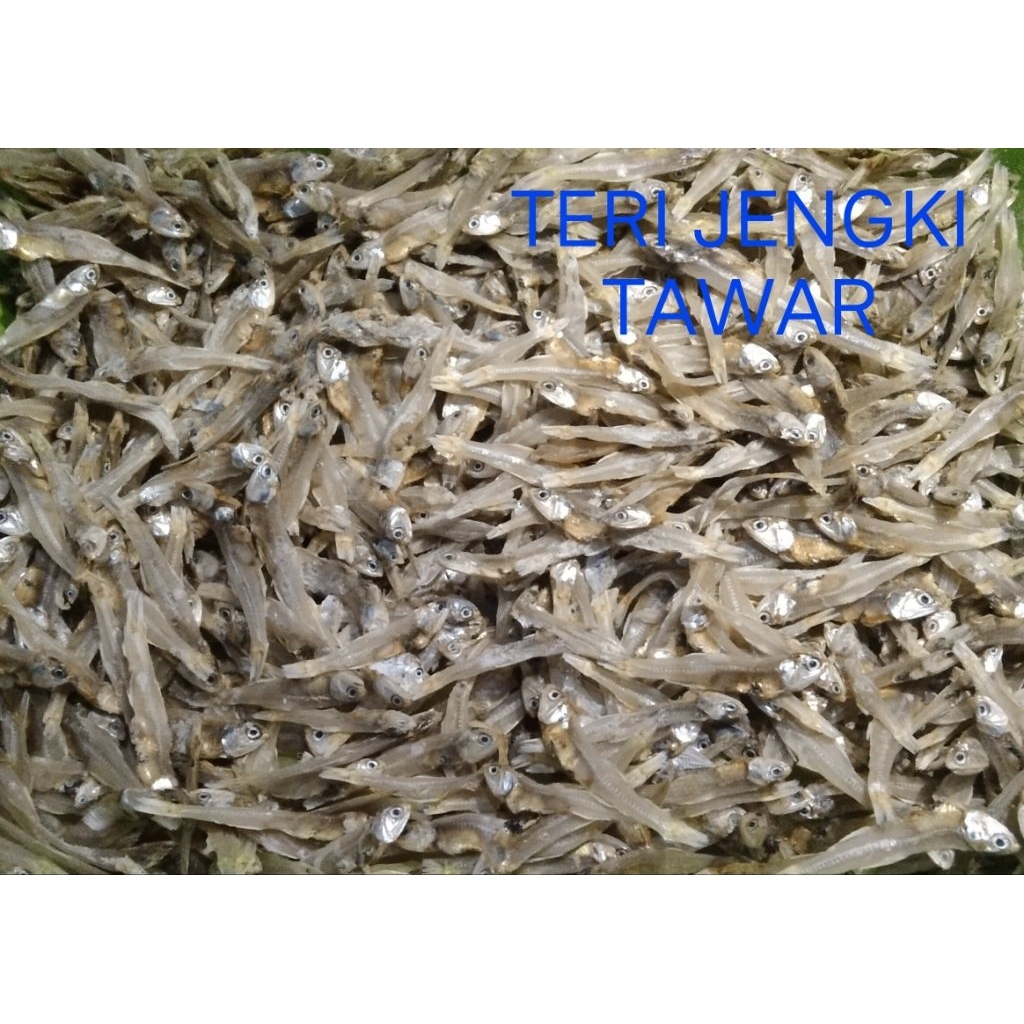 

TERI JENGKI TAWAR 100 Gram