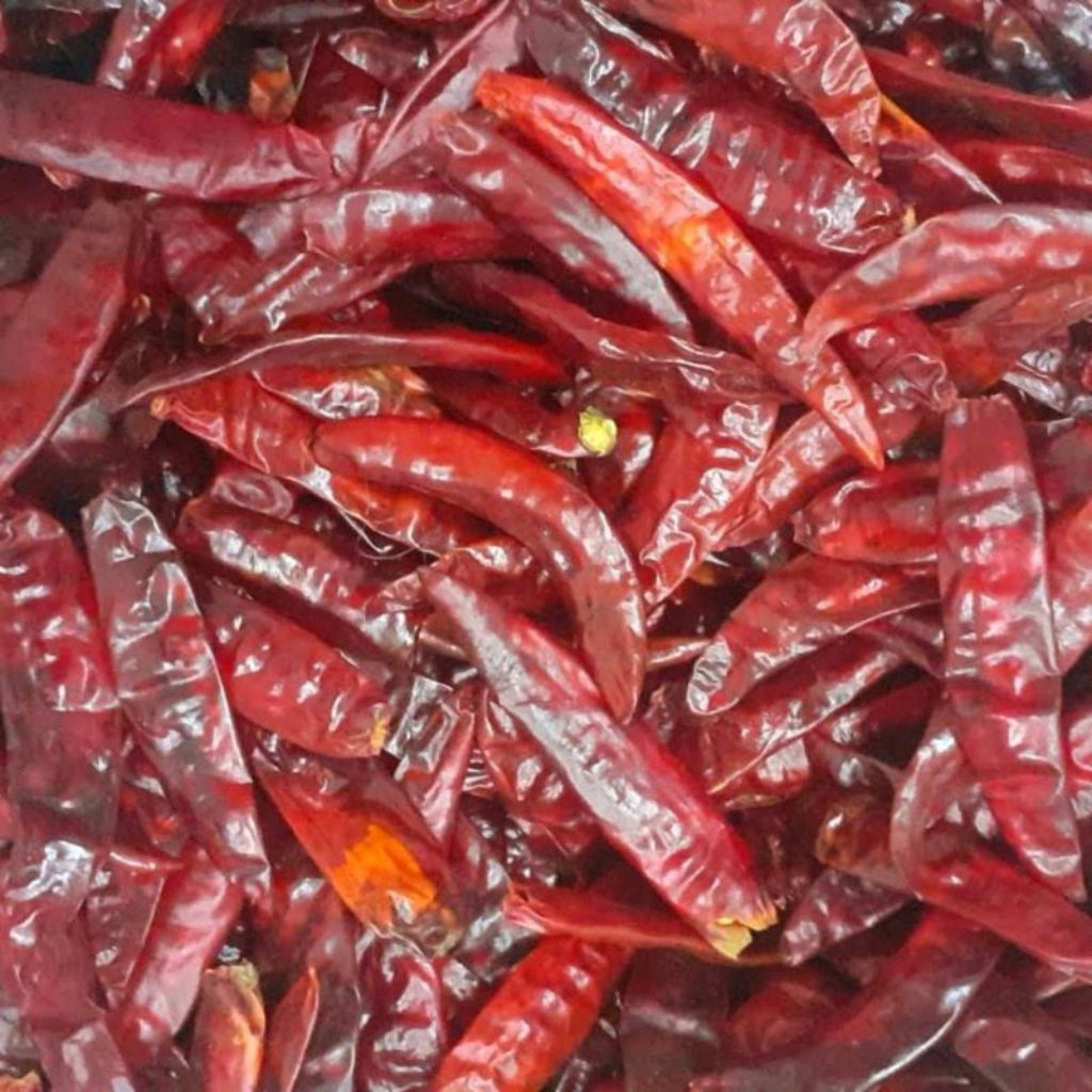 

(BISA COD) 250GR CABE MERAH KERING TANPA TANGKAI