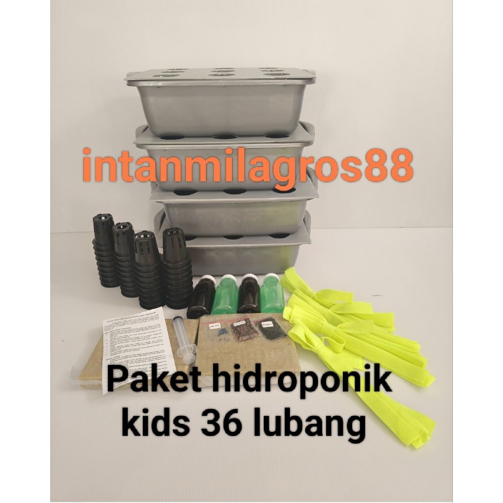 paket hidroponik/paket hidroponik kids 36 lubang/paket hidroponik pemula