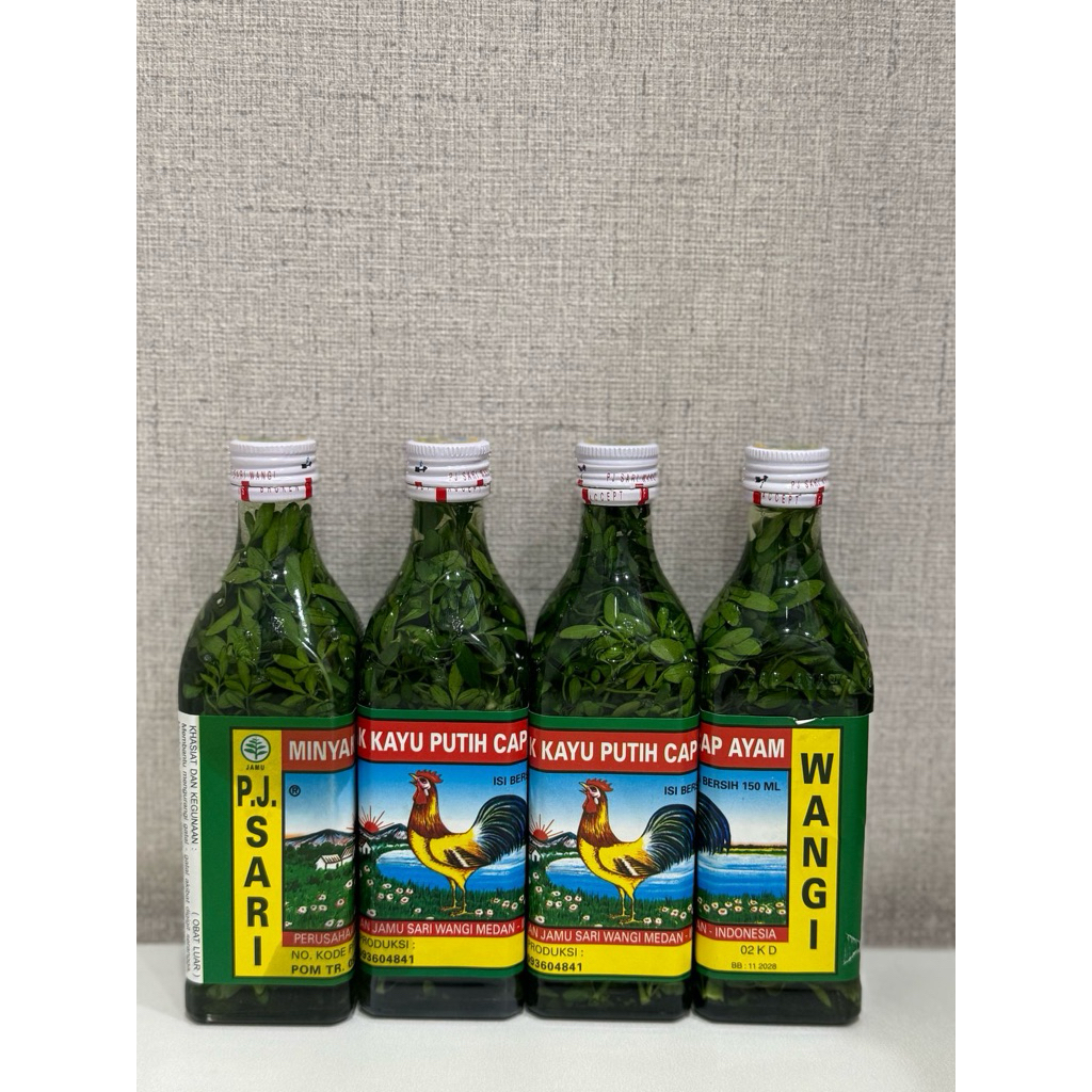 minyak kayu putih rendam chau-chau