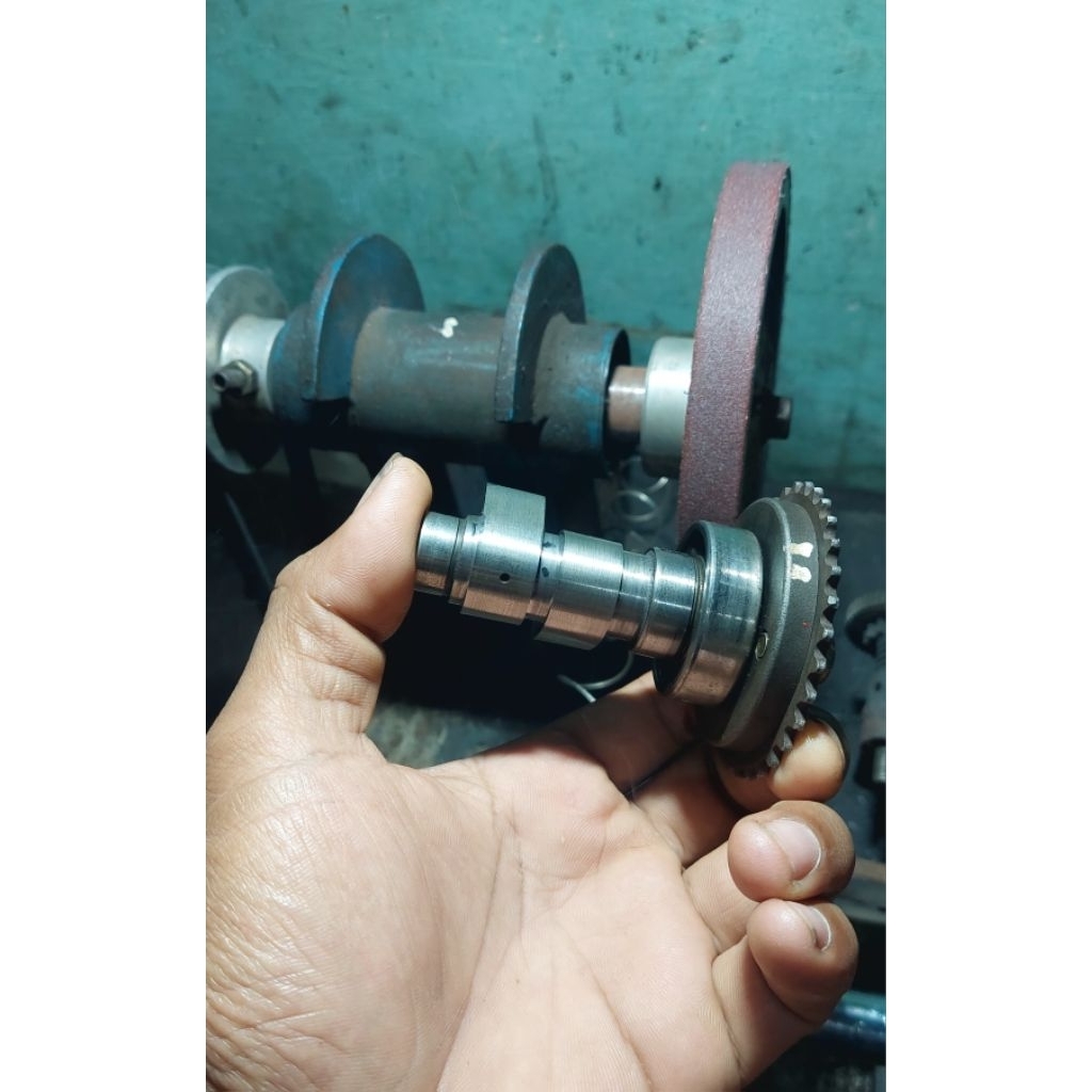 noken tiger templar Std bahan original tiger