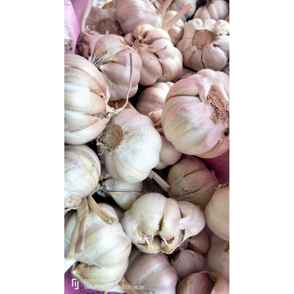 

Bawang Putih Bersih Berat 1Kg Timbangan Akurat