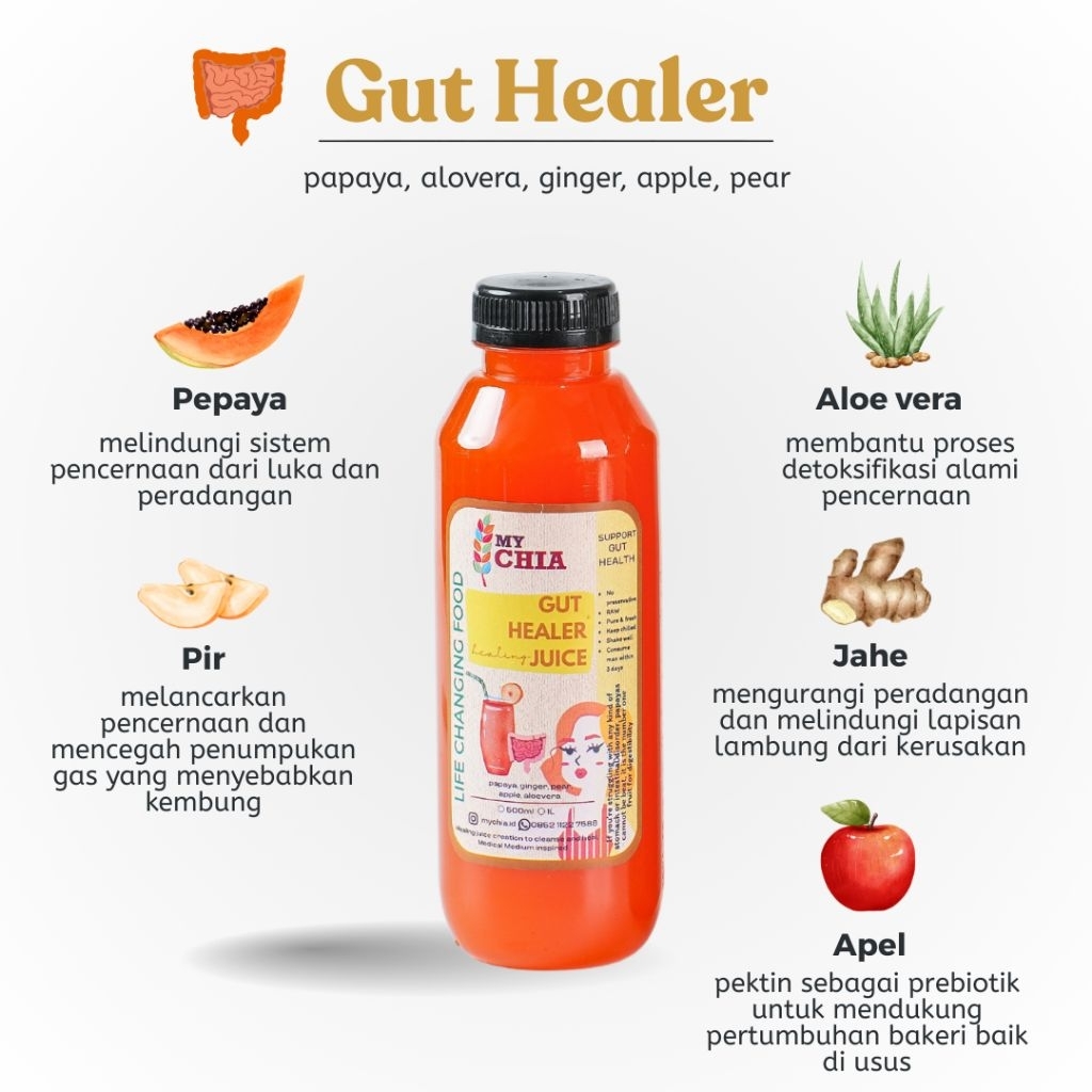 

Gut Healer Healing Juice 250ml Jus Papaya Pepaya Pear Cold Pressed