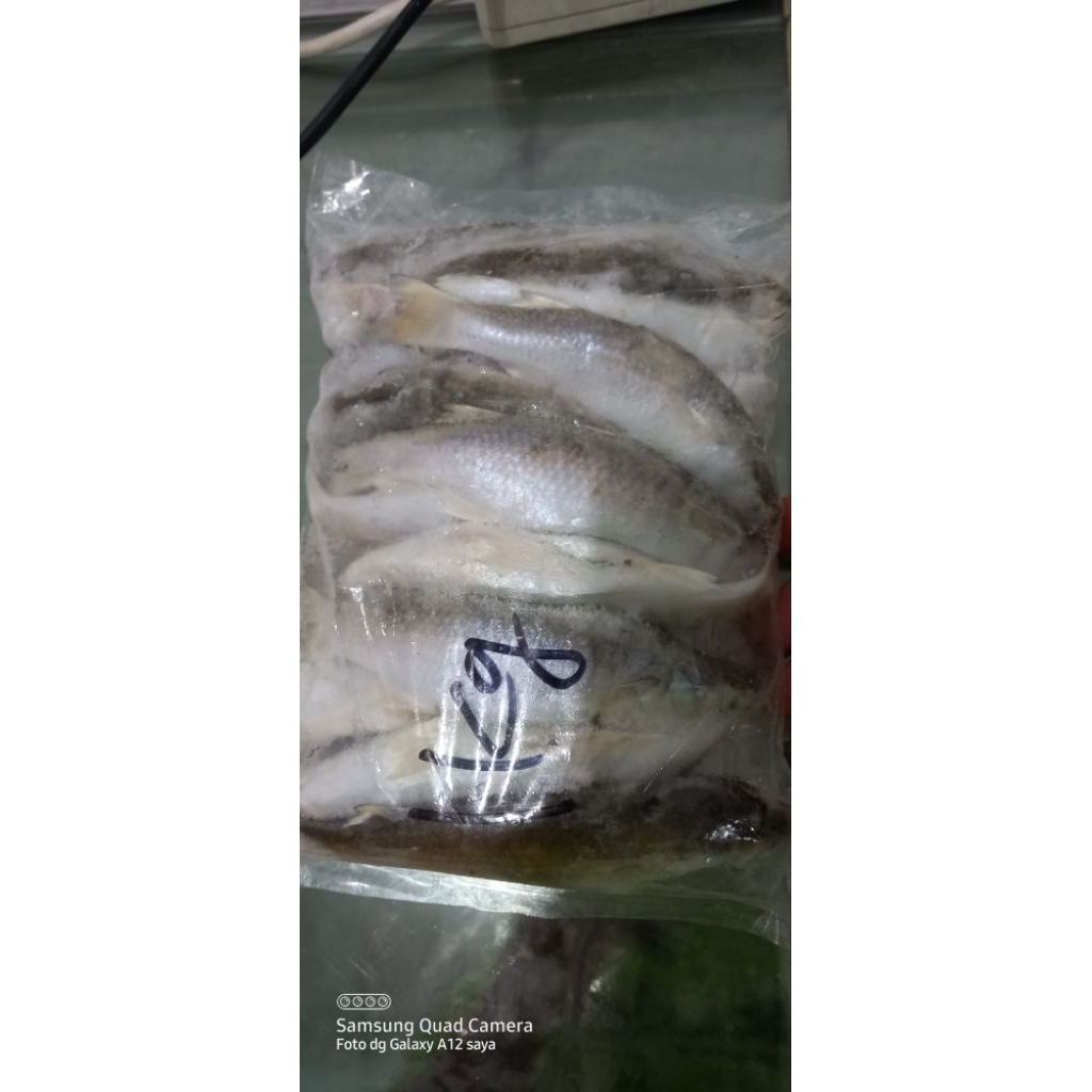

[ PROMO ] ikan belanak 14 - 20 ekor 1kg
