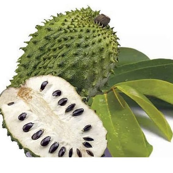 

Sirsak perbutir JBP Fresh