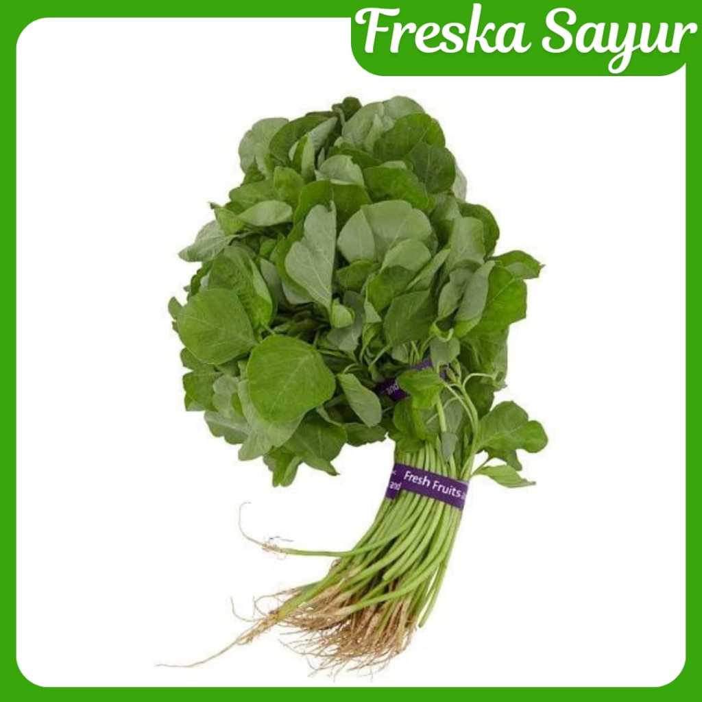 

Bayam 1 Ikat Besar I Fresh I Good Packaging