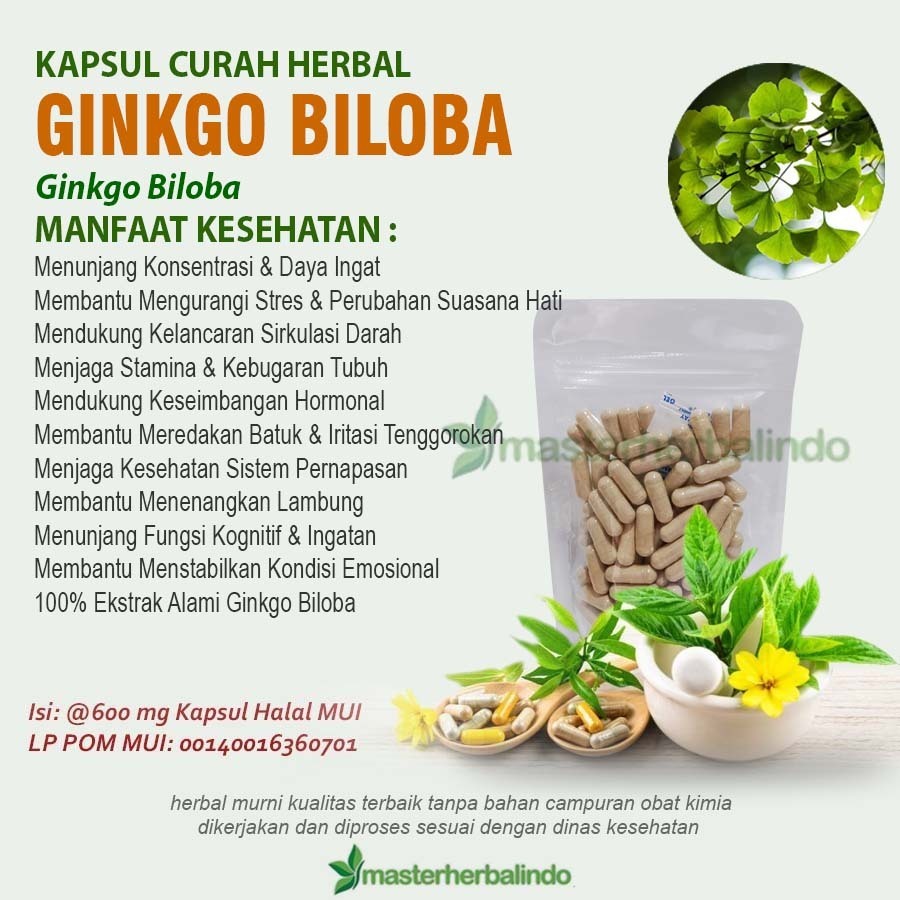 GINKGO BILOBA 100 Kapsul Curah Herbal
