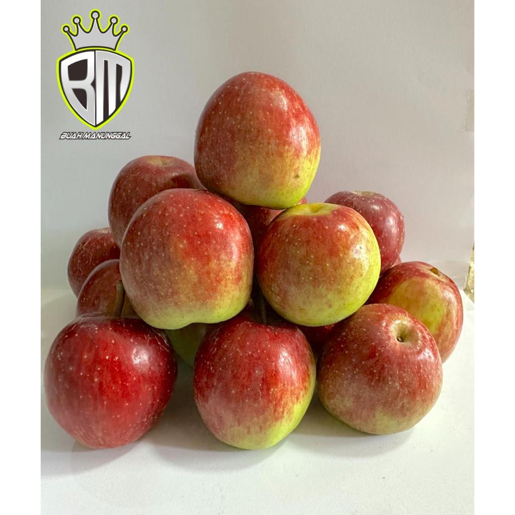 

Apel Ana Mini 1kg/Apel Ana Chery/Apel Ana Batu/Apel oleh-oleh khas Batu