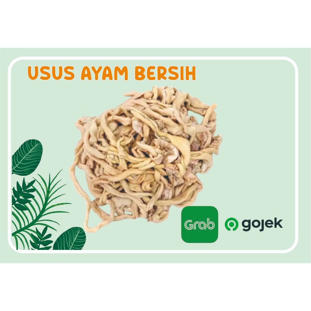 

Usus Ayam Bersih isi 900gr-1kg /usus ayam fresh/usus ayam murah/ayam potong