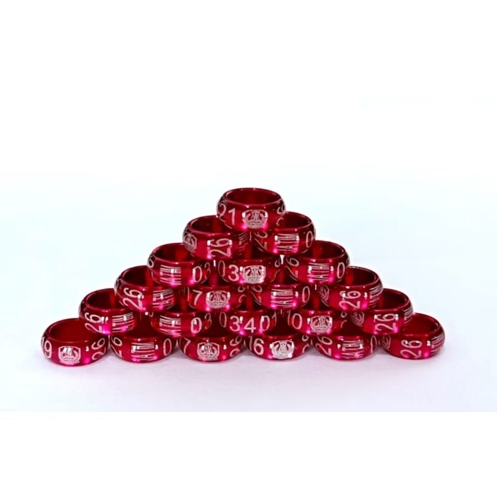 RING PPMBSI JATIM 2026 ASLI 100%