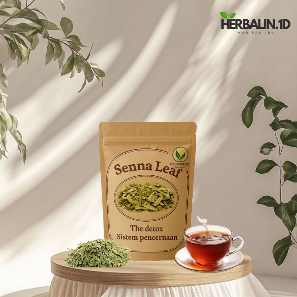 

Teh Daun Senna Leaf 35-150gr - Detox Usus Kotor Daun Jati Cina Detox Usus Herbal Organik