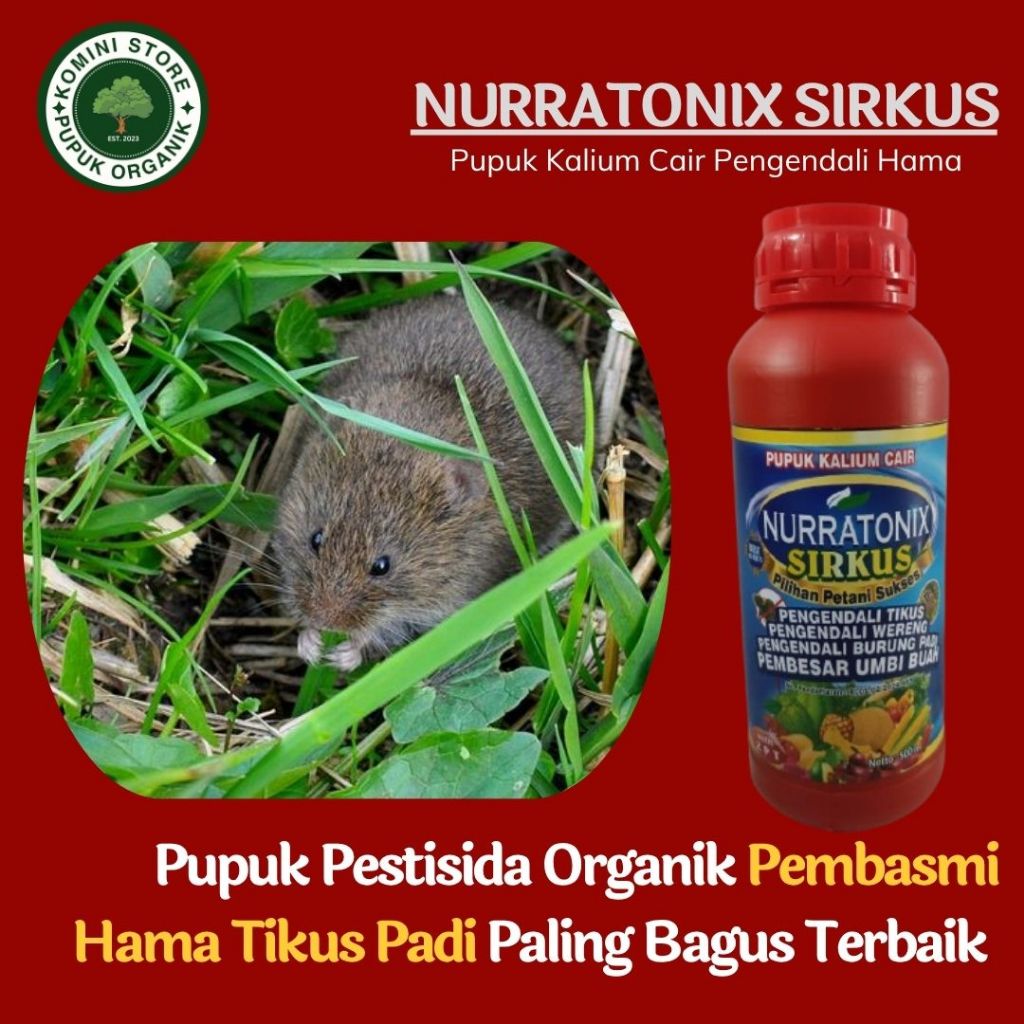 Obat Tikus Sawah untuk Padi | Basmi Hama Tikus & Lindungi Tanaman - nurratonix sirkus 500ml