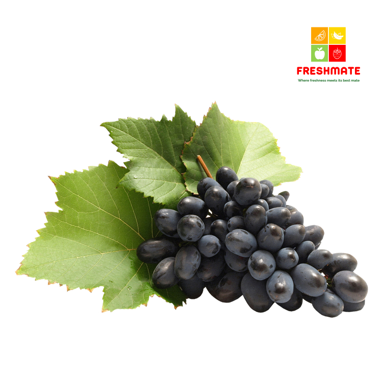 

Anggur Black Autumn 250gr Manis Tanpa Biji Buah Segar Premium