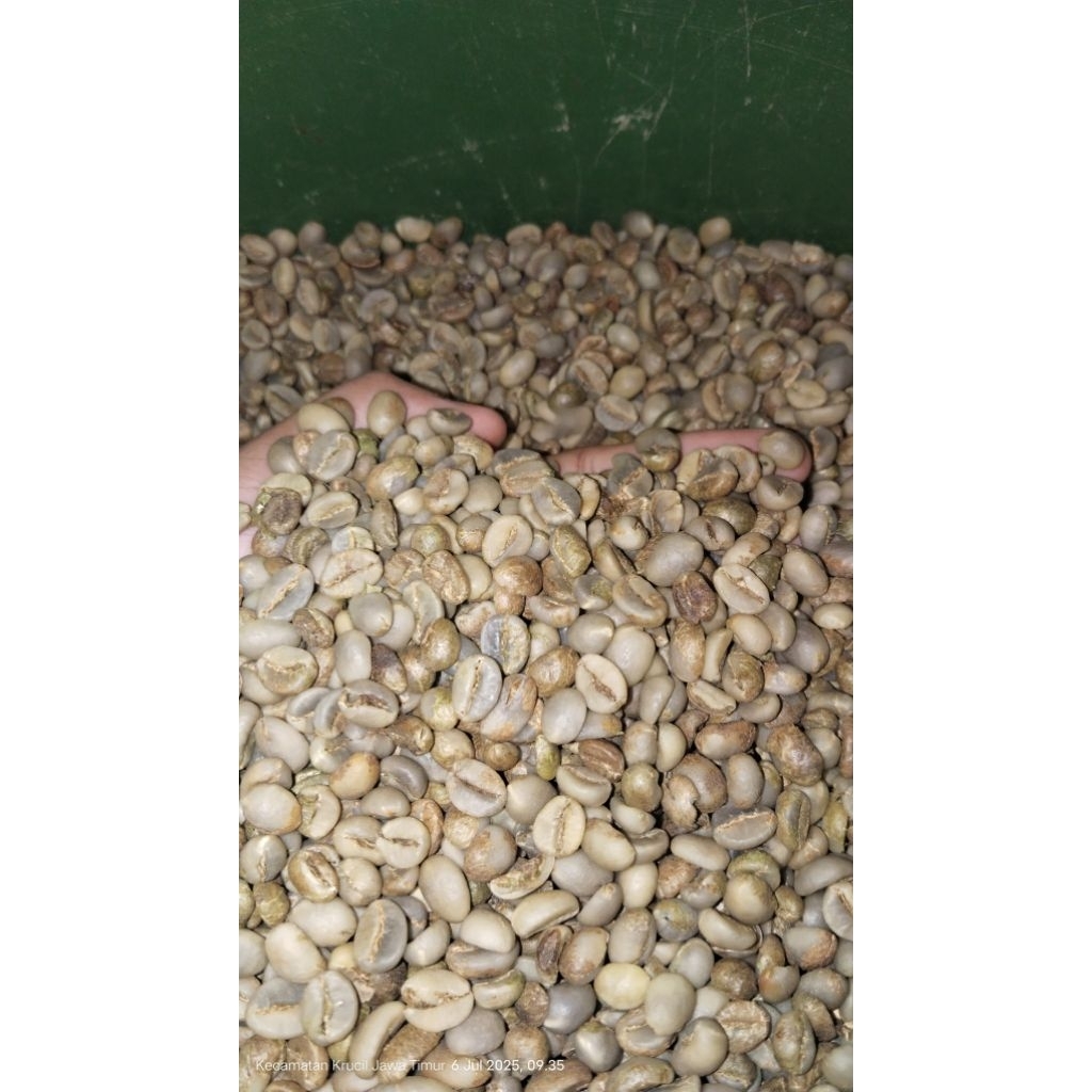 

biji kopi robusta asalan 10 kg | Grosir | Green Bean | kualitas super | biji bersih