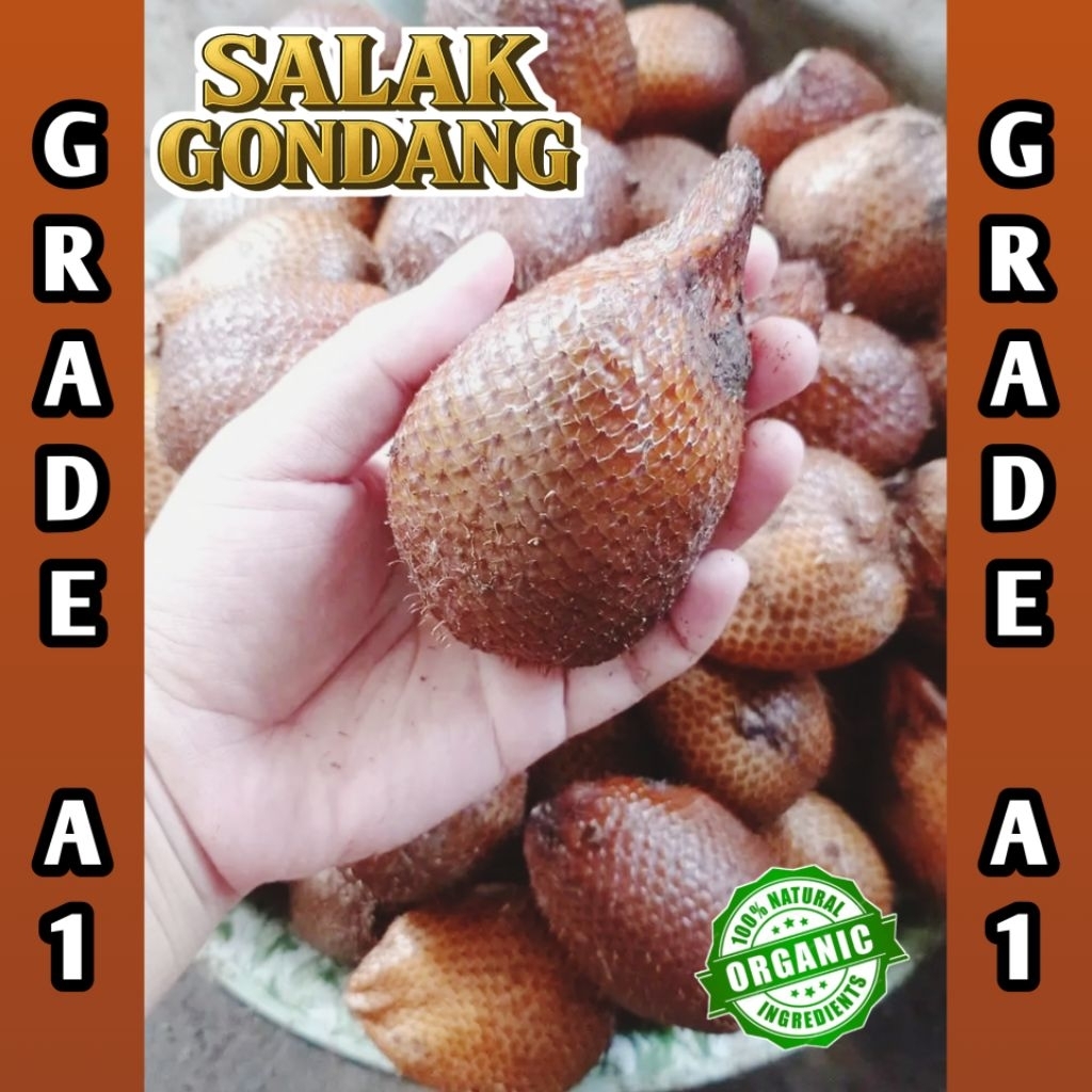 

salak GONDANG - KERSIKAN Grade A1 Rasa ASAM,MANIS,BERAIR