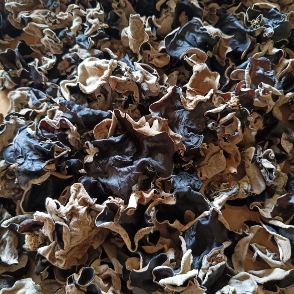 

Jamur Kuping Kering Hitam, Jamur Kuping kecil dan hitam tebal sesuai foto, Jamur kuping kering 500gram