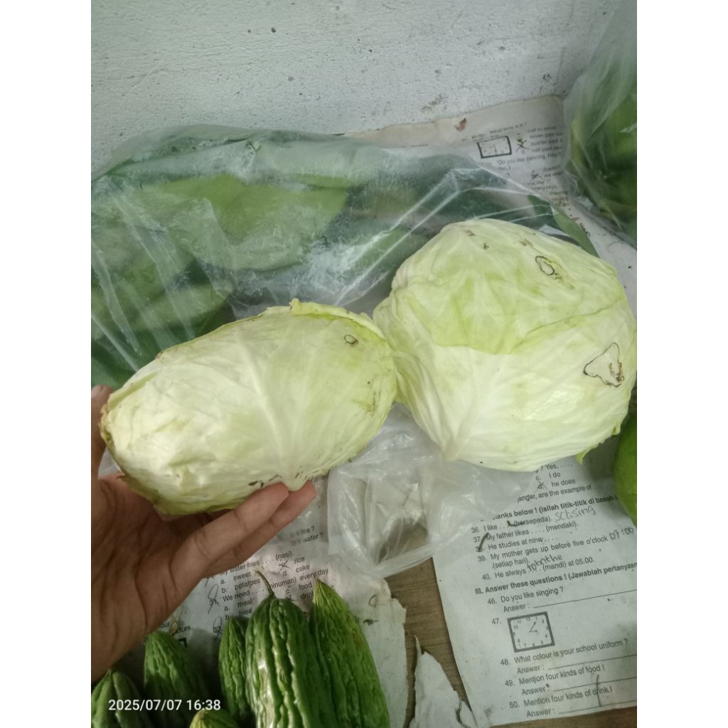 

1 BUAH KOL/SMBB/Sayurmayurbpkbaum