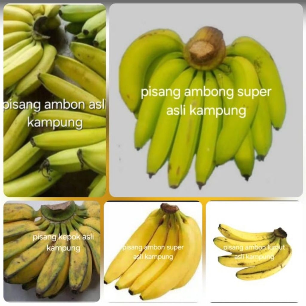 

pisang Ambon.perkilo